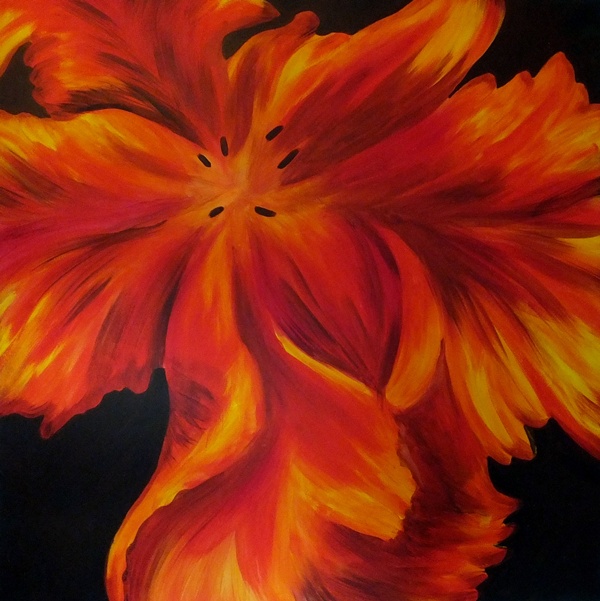 Tulip - Click to make an enquiry